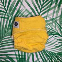 Diaper - Flax Linen Fitted w/ Insert Set